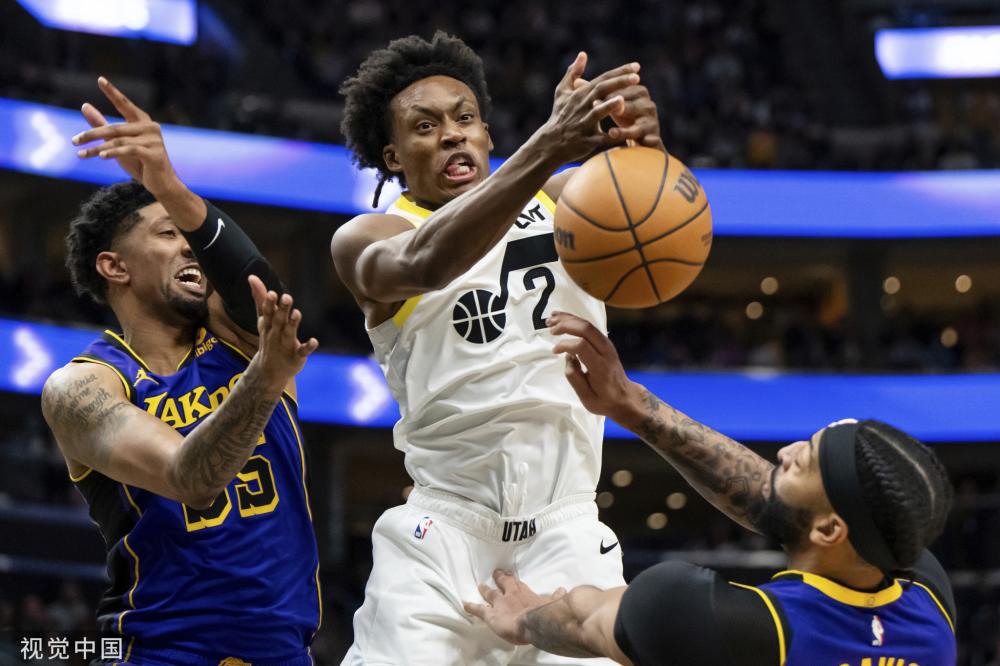 成为海豚进 成为海豚进